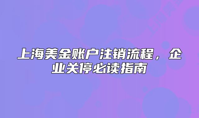 上海美金账户注销流程，企业关停必读指南