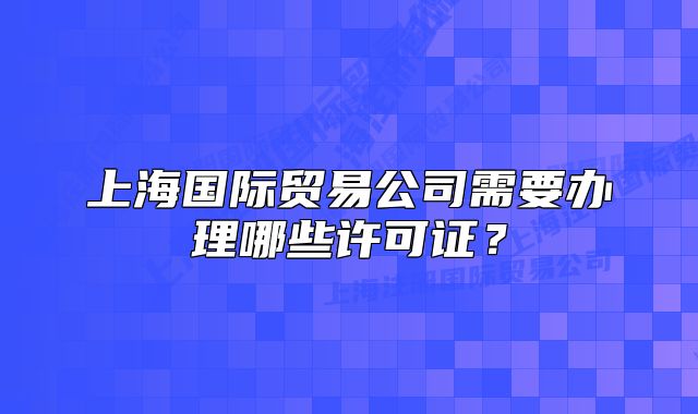 上海国际贸易公司需要办理哪些许可证？