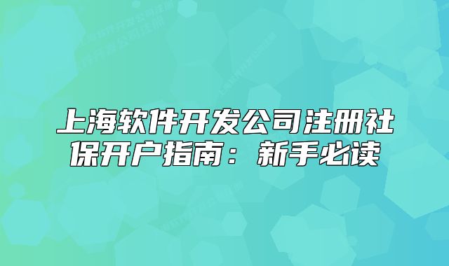 上海软件开发公司注册社保开户指南：新手必读