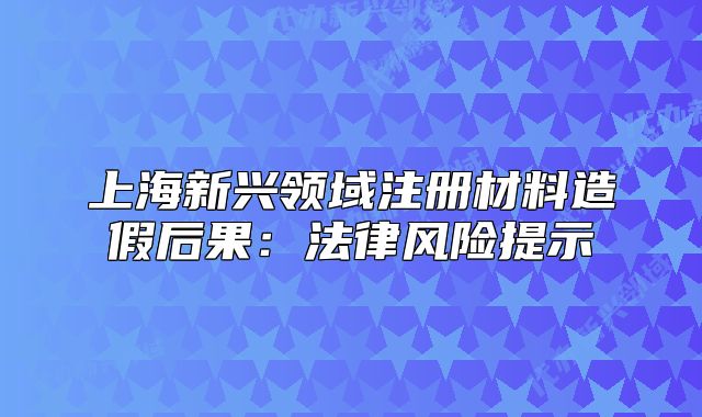 上海新兴领域注册材料造假后果：法律风险提示