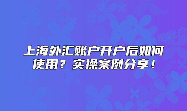 上海外汇账户开户后如何使用?实操案例分享!