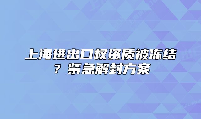 上海进出口权资质被冻结?紧急解封方案