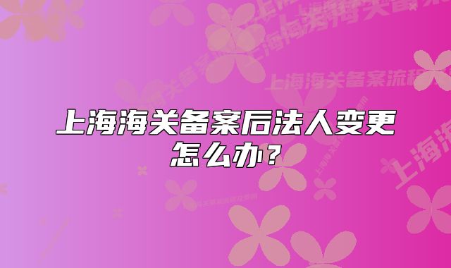 上海海关备案后法人变更怎么办?