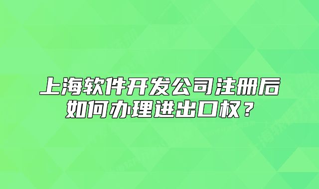 上海软件开发公司注册后如何办理进出口权?