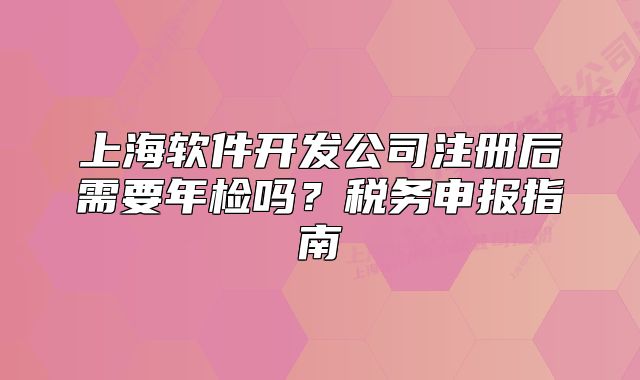 上海软件开发公司注册后需要年检吗?税务申报指南