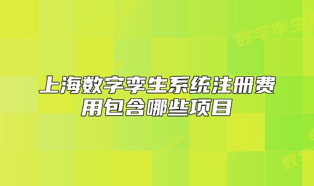 上海数字孪生系统注册费用包含哪些项目