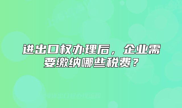进出口权办理后,企业需要缴纳哪些税费?