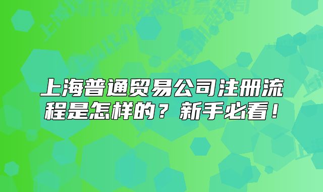 上海普通贸易公司注册流程是怎样的?新手必看!