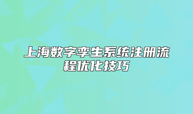 上海数字孪生系统注册流程优化技巧