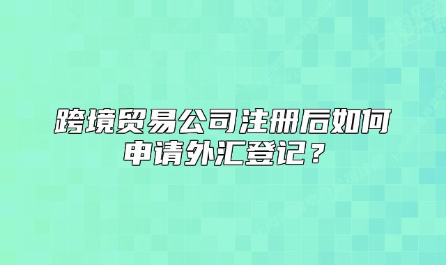 跨境贸易公司注册后如何申请外汇登记？