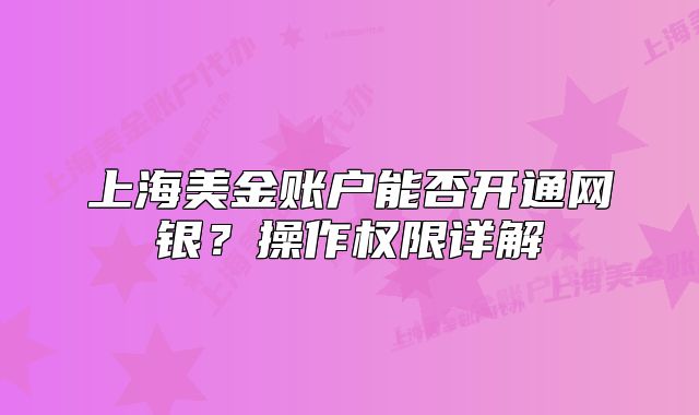 上海美金账户能否开通网银?操作权限详解