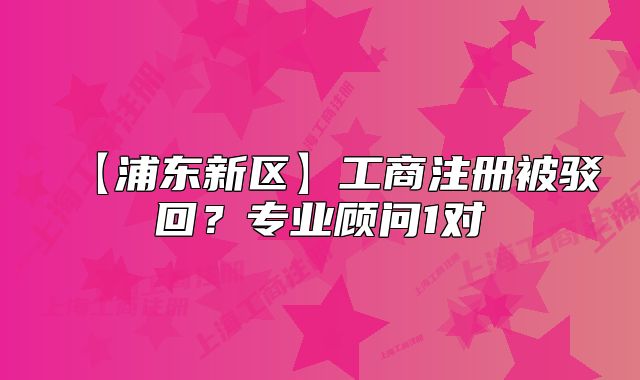 【浦东新区】工商注册被驳回？专业顾问1对