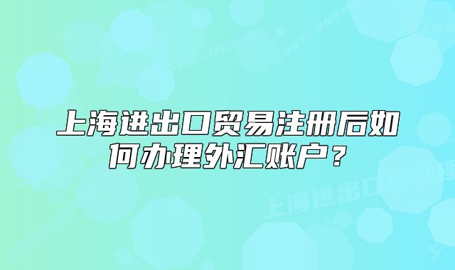 上海进出口贸易注册后如何办理外汇账户?