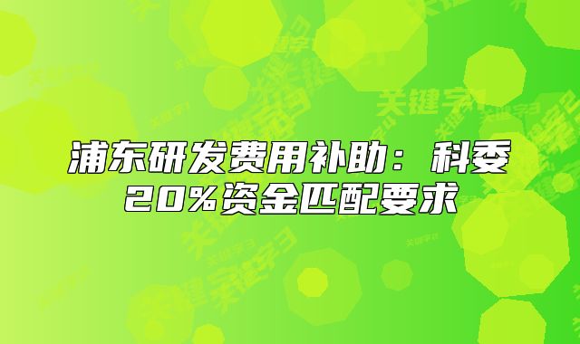 浦东研发费用补助:科委20%资金匹配要求