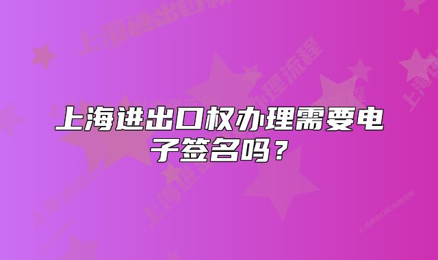 上海进出口权办理需要电子签名吗?