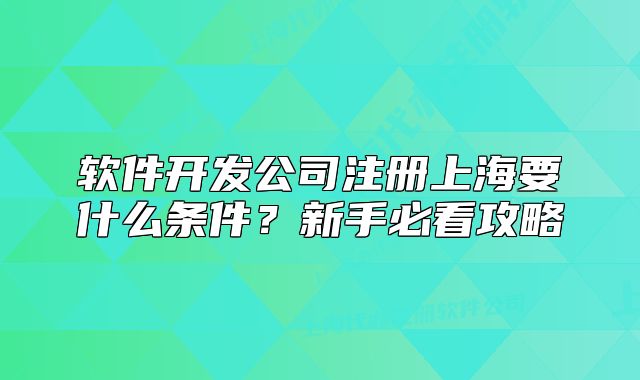 软件开发公司注册上海要什么条件?新手必看攻略
