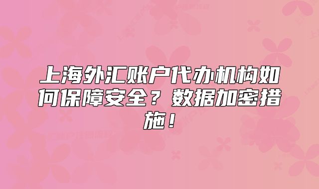 上海外汇账户代办机构如何保障安全？数据加密措施！