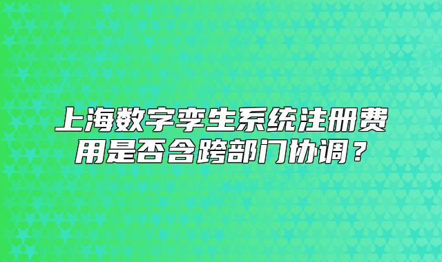 上海数字孪生系统注册费用是否含跨部门协调？
