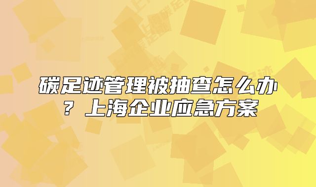 碳足迹管理被抽查怎么办?上海企业应急方案