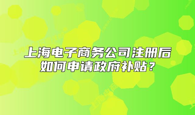 上海电子商务公司注册后如何申请政府补贴？