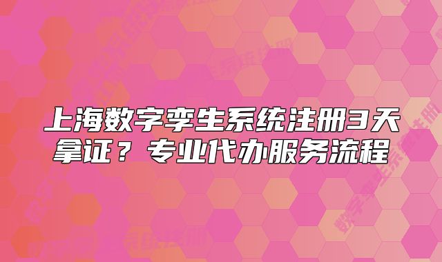 上海数字孪生系统注册3天拿证?专业代办服务流程