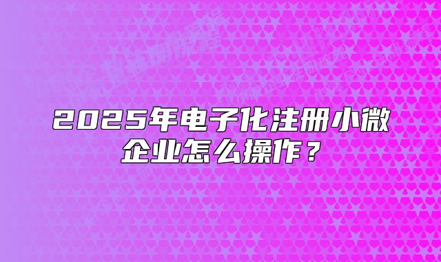 2025年电子化注册小微企业怎么操作?