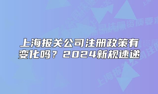 上海报关公司注册政策有变化吗？2024新规速递
