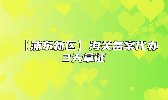 【浦东新区】海关备案代办3天拿证