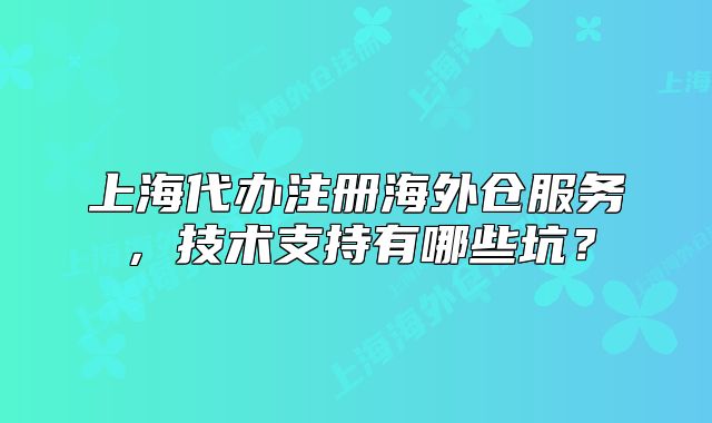 上海代办注册海外仓服务,技术支持有哪些坑?