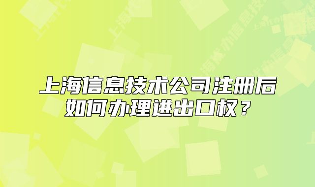 上海信息技术公司注册后如何办理进出口权?