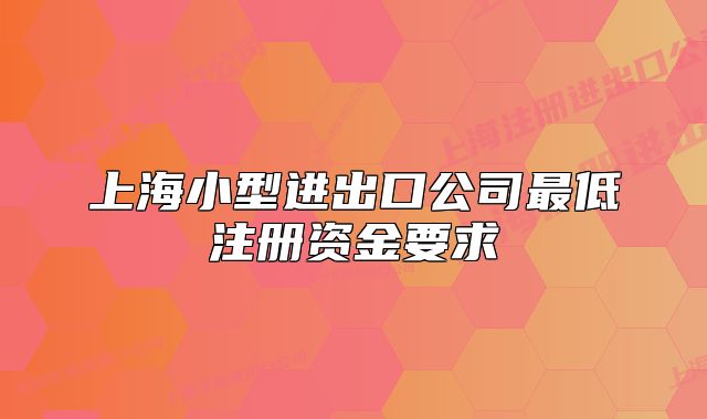 上海小型进出口公司最低注册资金要求
