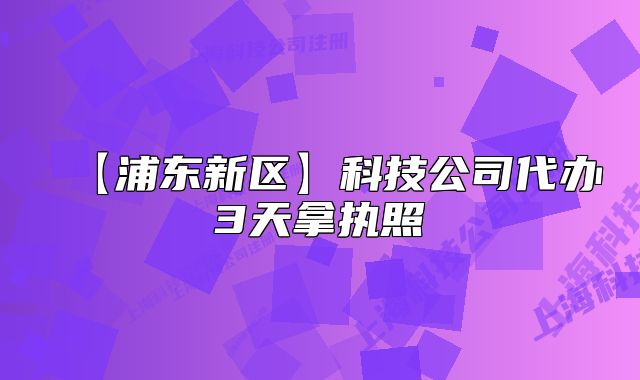 【浦东新区】科技公司代办3天拿执照