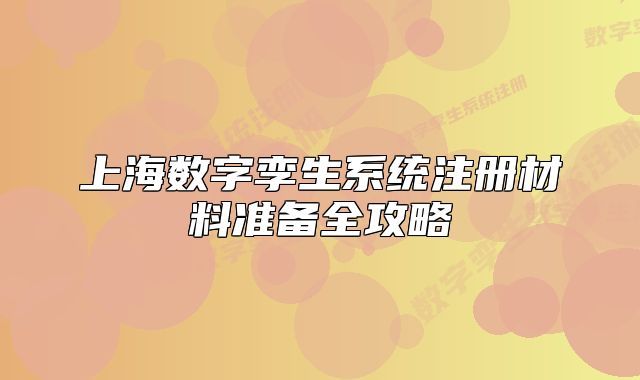 上海数字孪生系统注册材料准备全攻略