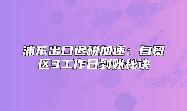 浦东出口退税加速：自贸区3工作日到账秘诀