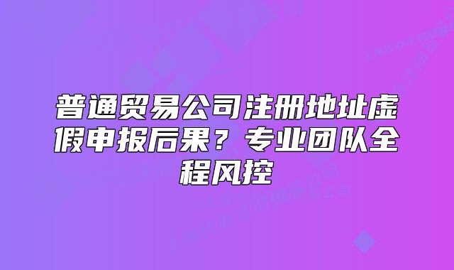 普通贸易公司注册地址虚假申报后果？专业团队全程风控