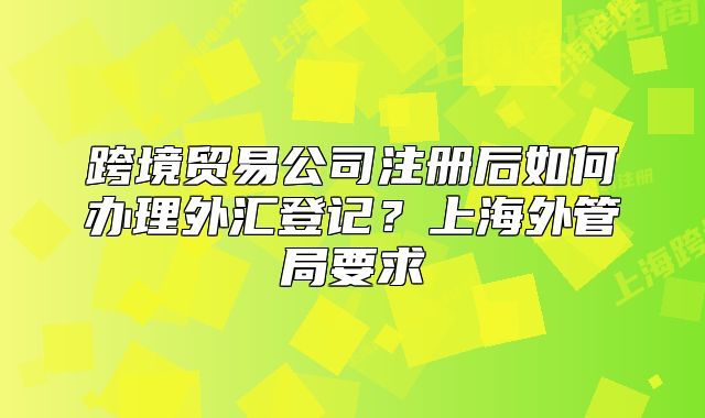 跨境贸易公司注册后如何办理外汇登记?上海外管局要求