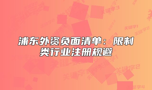 浦东外资负面清单：限制类行业注册规避