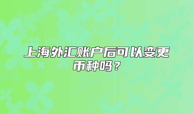上海外汇账户后可以变更币种吗？