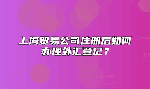 上海贸易公司注册后如何办理外汇登记?