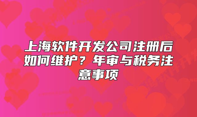 上海软件开发公司注册后如何维护?年审与税务注意事项