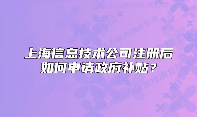 上海信息技术公司注册后如何申请政府补贴?