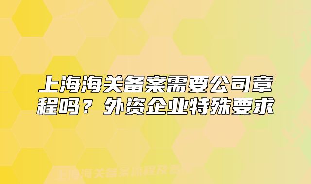 上海海关备案需要公司章程吗？外资企业特殊要求