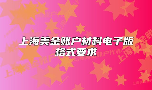 上海美金账户材料电子版格式要求