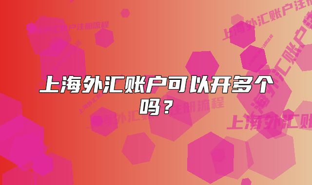 上海外汇账户可以开多个吗?