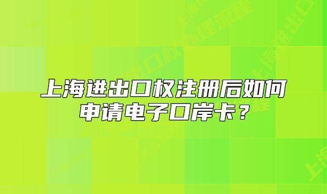 上海进出口权注册后如何申请电子口岸卡?