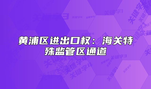黄浦区进出口权：海关特殊监管区通道