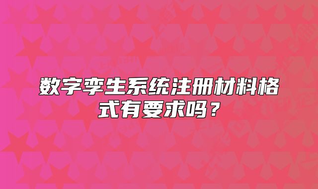 数字孪生系统注册材料格式有要求吗?