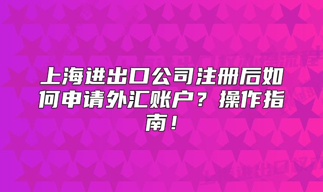 上海进出口公司注册后如何申请外汇账户?操作指南!