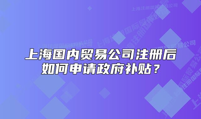 上海国内贸易公司注册后如何申请政府补贴?