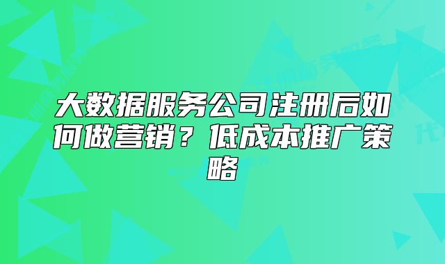 大数据服务公司注册后如何做营销?低成本推广策略